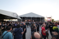 2023.05.31.PANTERA, TEETH MARKS