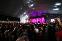 2023.05.31.PANTERA, TEETH MARKS