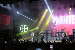 2023.05.31.PANTERA, TEETH MARKS