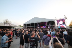 2023.05.31.PANTERA, TEETH MARKS