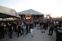 2023.05.31.PANTERA, TEETH MARKS