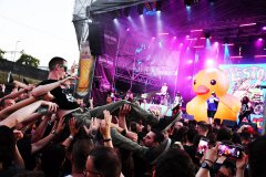 Alestorm Barna Negra