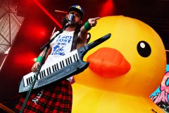 Alestorm Barna Negra