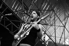 Alestorm Barna Negra