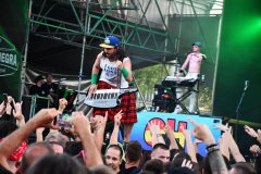 Alestorm Barna Negra
