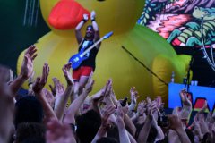 Alestorm Barna Negra