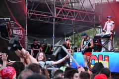 Alestorm Barna Negra