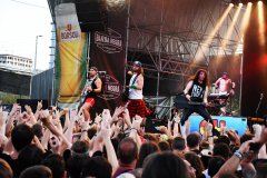 Alestorm Barna Negra