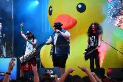Alestorm Barna Negra