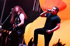 Alestorm Barna Negra