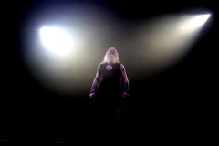 Amon Amarth, Machine Head, The Halo Effect
