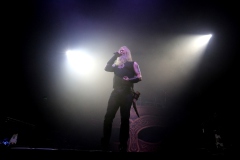 Amon Amarth, Machine Head, The Halo Effect