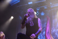 Amon Amarth, Machine Head, The Halo Effect