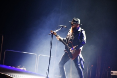Bad Wolfes,  Skindred, Volbeat MVM 2022
