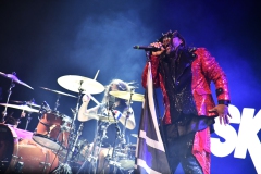 Bad Wolfes,  Skindred, Volbeat MVM 2022