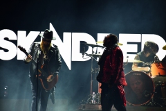 Bad Wolfes,  Skindred, Volbeat MVM 2022