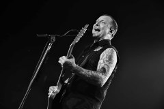 Bad Wolfes,  Skindred, Volbeat MVM 2022