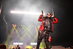 Bad Wolfes,  Skindred, Volbeat MVM 2022