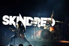 Bad Wolfes,  Skindred, Volbeat MVM 2022