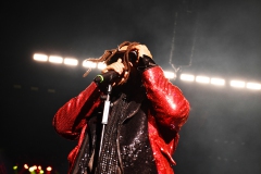 Bad Wolfes,  Skindred, Volbeat MVM 2022