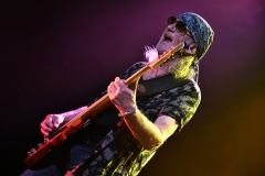 Deep Purple 2023 Bp.