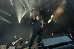 Dropkick Murphys: erő, forró hangulat, meglepetések