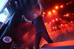 Dropkick Murphys: erő, forró hangulat, meglepetések