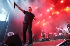 Dropkick Murphys: erő, forró hangulat, meglepetések