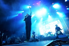 Dropkick Murphys: erő, forró hangulat, meglepetések