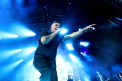 Dropkick Murphys: erő, forró hangulat, meglepetések