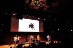 GM49 nagykoncert