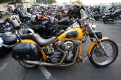 Harley Davidson Open Road Days 2024