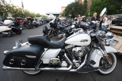 Harley Davidson Open Road Days 2024