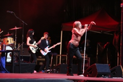 Iggy Pop – Gyárkert/Veszprém, július 30.