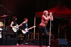 Iggy Pop – Gyárkert/Veszprém, július 30.