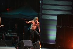 Iggy Pop – Gyárkert/Veszprém, július 30.