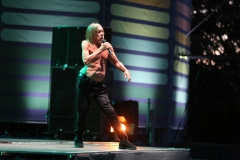 Iggy Pop – Gyárkert/Veszprém, július 30.