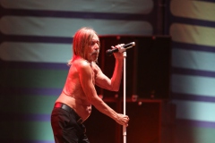 Iggy Pop – Gyárkert/Veszprém, július 30.