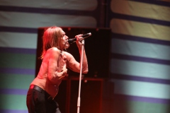 Iggy Pop – Gyárkert/Veszprém, július 30.
