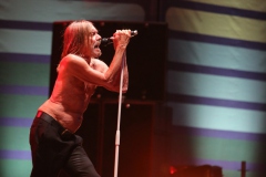 Iggy Pop – Gyárkert/Veszprém, július 30.