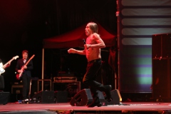 Iggy Pop – Gyárkert/Veszprém, július 30.