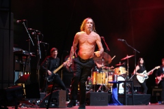 Iggy Pop – Gyárkert/Veszprém, július 30.