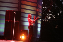 Iggy Pop – Gyárkert/Veszprém, július 30.