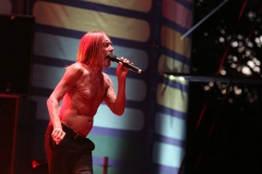Iggy Pop – Gyárkert/Veszprém, július 30.