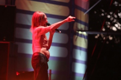 Iggy Pop – Gyárkert/Veszprém, július 30.