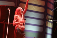 Iggy Pop – Gyárkert/Veszprém, július 30.