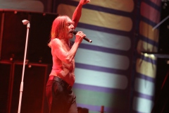 Iggy Pop – Gyárkert/Veszprém, július 30.