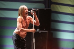 Iggy Pop – Gyárkert/Veszprém, július 30.