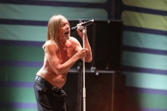 Iggy Pop – Gyárkert/Veszprém, július 30.