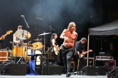 Iggy Pop – Gyárkert/Veszprém, július 30.